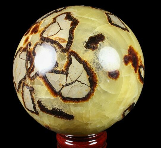 Polished Septarian Sphere ( lbs) - Madagascar #79331